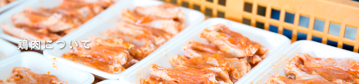 鶏肉について